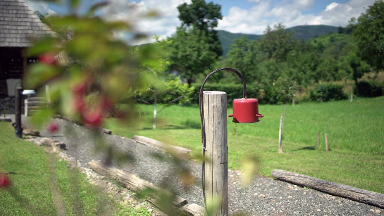 Iz De Maramures Rural Hotel (Adults Only) Surdesti  Exterior foto